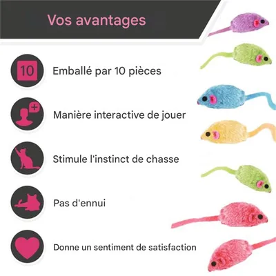 IntiMeg Jeu de 10 souris peluche pour chats