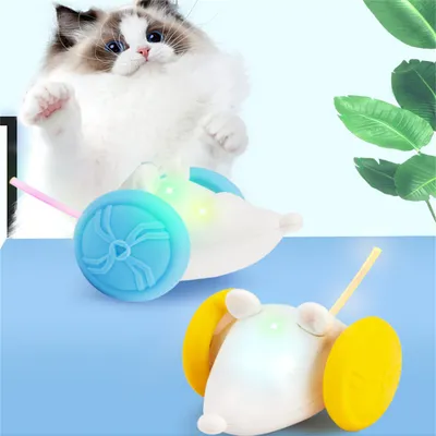 ZenPets Jouet interactif pour chat avec lumière