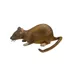 IntiMeg - Souris en caoutchouc flexible