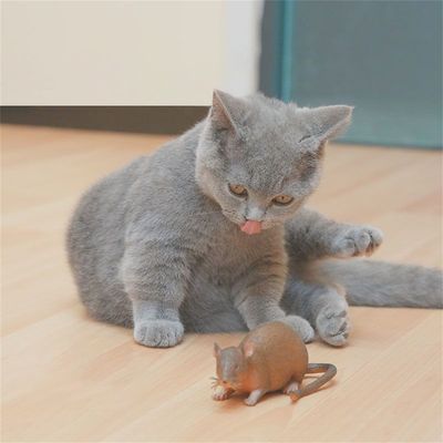 IntiMeg - Souris en caoutchouc flexible
