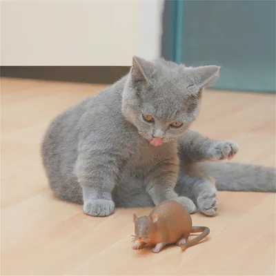 IntiMeg - Souris en caoutchouc flexible