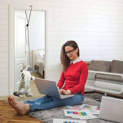 IntiMeg Jouet suspendu pour chat