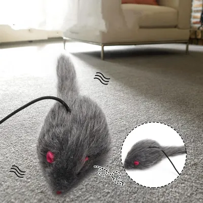 IntiMeg Jouet suspendu pour chat