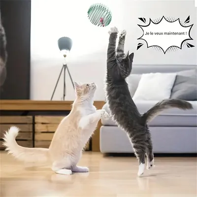 IntiMeg  Ensemble de jouets souris en peluche