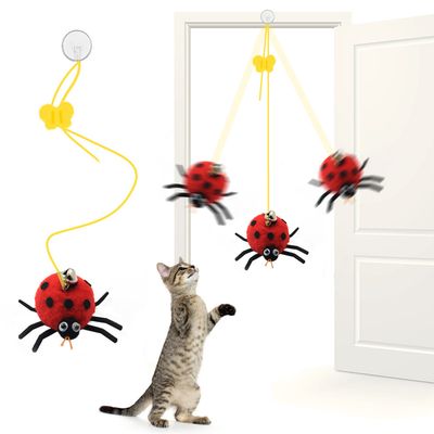 IntiMeg Jouet suspendu pour chat Scarabée