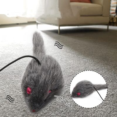 IntiMeg Jouet suspendu pour chat
