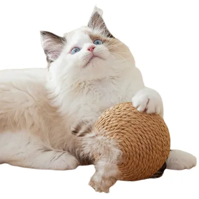 ZenPets Boule de jouet pour chat en boule de sisal en plumes