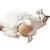 ZenPets Boule de jouet pour chat en boule de sisal en plumes