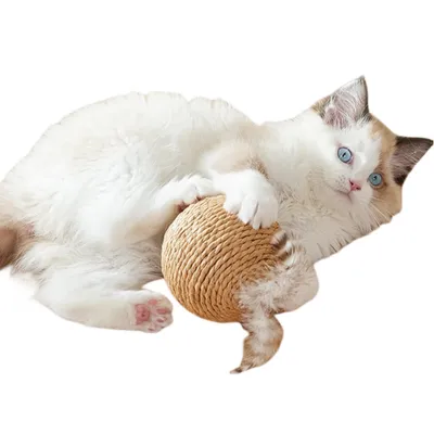 ZenPets Boule de jouet pour chat en boule de sisal en plumes