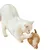 ZenPets Boule de jouet pour chat en boule de sisal en plumes