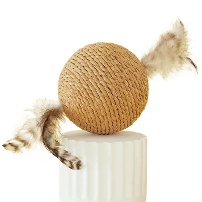 ZenPets Boule de jouet pour chat en boule de sisal en plumes
