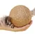 ZenPets Boule de jouet pour chat en boule de sisal en plumes