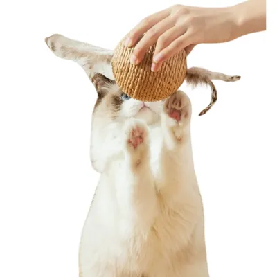 ZenPets Boule de jouet pour chat en boule de sisal en plumes