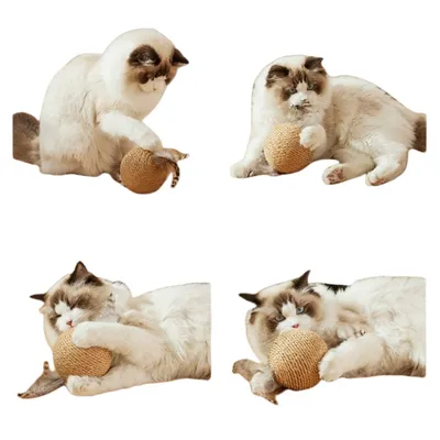 ZenPets Boule de jouet pour chat en boule de sisal en plumes