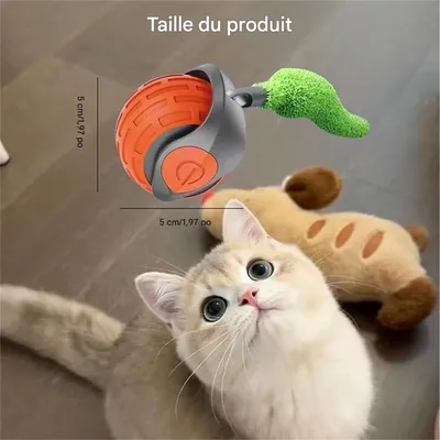 IntiMeg Balle interactive pour chats et chiens - 360°