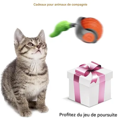 IntiMeg Balle interactive pour chats et chiens - 360°