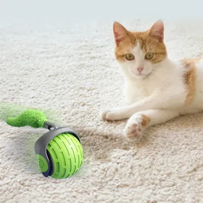 IntiMeg Balle interactive pour chats et chiens - 360°