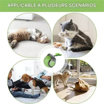 IntiMeg Balle interactive pour chats et chiens - 360°