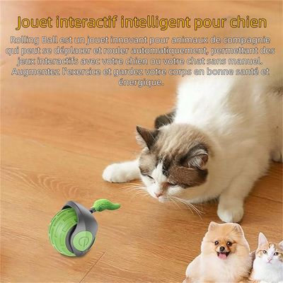 IntiMeg Interaktiver Ball für Katzen und Hunde – 360°