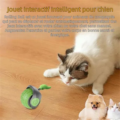 IntiMeg Balle interactive pour chats et chiens - 360°