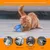 IntiMeg Balle interactive pour chats et chiens - 360°