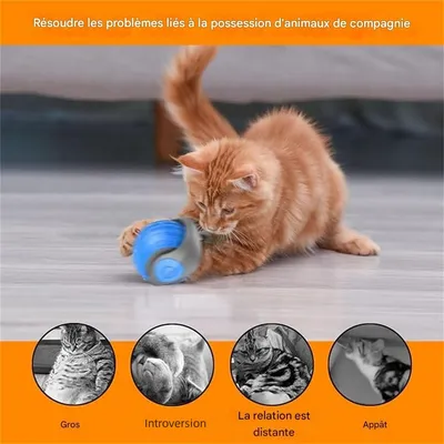 IntiMeg Balle interactive pour chats et chiens - 360°