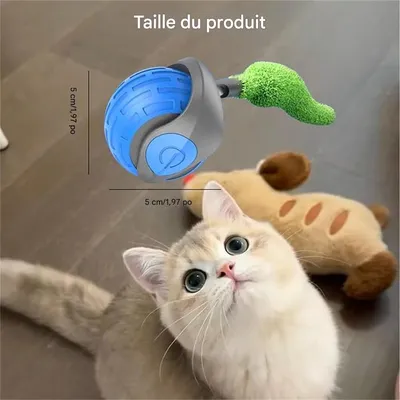 IntiMeg Balle interactive pour chats et chiens - 360°