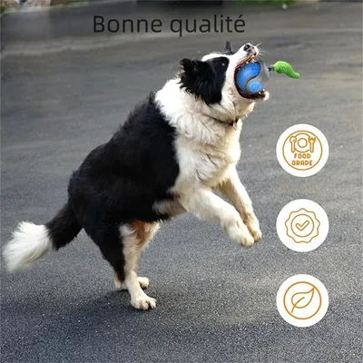 IntiMeg Balle interactive pour chats et chiens - 360°