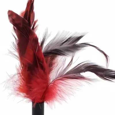 ZenPets Jouet pour chat Gobelet à plumes